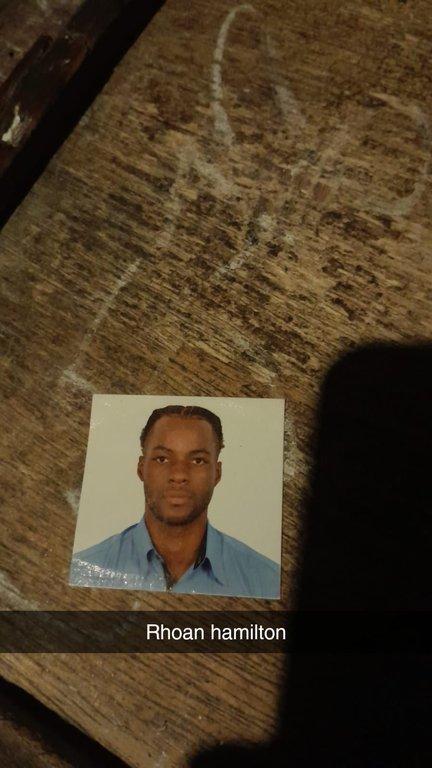 rhoan_hamilton